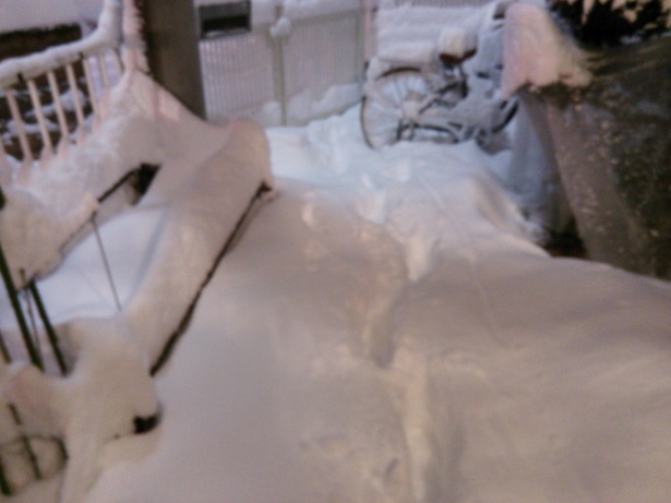 f0087347_23552158.jpg