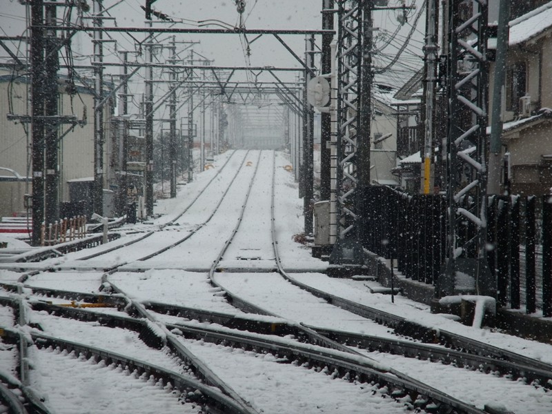 Snow in Osaka_e0046748_2282646.jpg