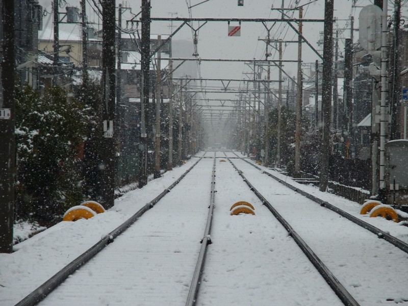 Snow in Osaka_e0046748_2284187.jpg