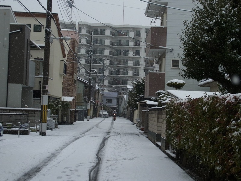 Snow in Osaka_e0046748_228562.jpg