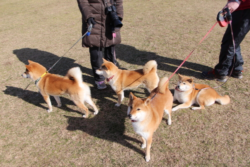 のんびり過ごそう！　初めまして編_f0245650_08424036.jpg