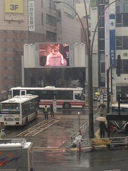 渋谷中央街大型ビジョンにうちの猫らムービー_a0028451_13183976.jpg