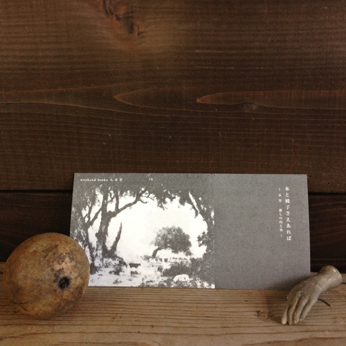 「本と椅子さえあれば ―未 草 暮しの内と外―」作品のご紹介1。_e0060555_11484940.jpg