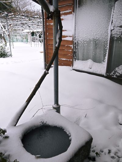 ホワイトバレンタイン!どころじゃない大雪!積雪なんと35cm!!_a0254656_1953578.jpg