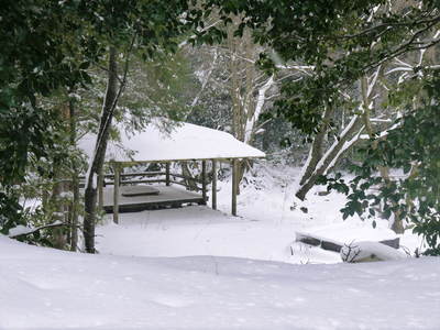 ホワイトバレンタイン!どころじゃない大雪!積雪なんと35cm!!_a0254656_20111577.jpg
