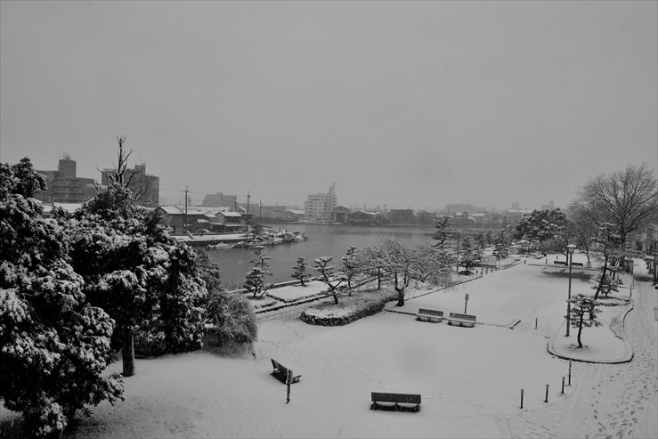 名古屋も積雪_e0170058_13165627.jpg