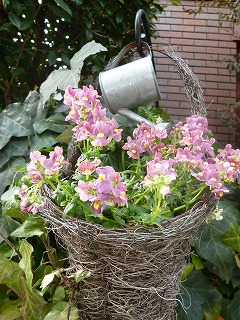 happy day その1 ティーコゼーを届けに♪&美味しくて楽しいティータイム♪_a0165160_07232635.jpg