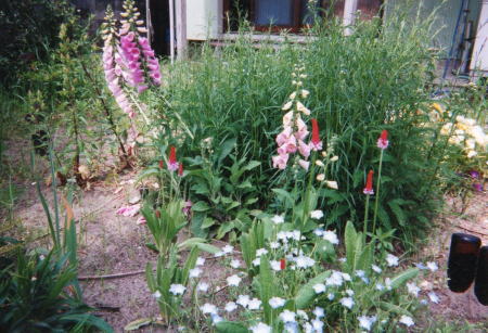 c0194163_1733998.jpg