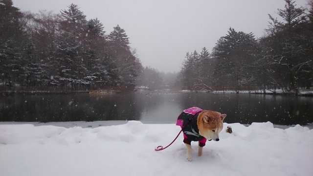 b0274270_1114185.jpg