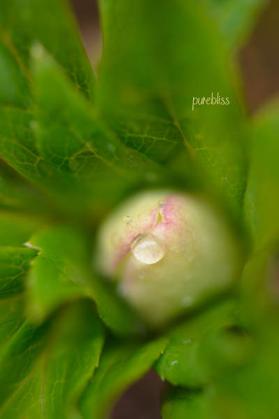 b0243873_14260192.png