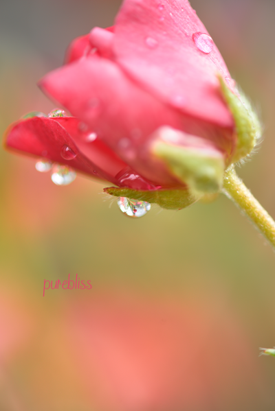 b0243873_14260204.png