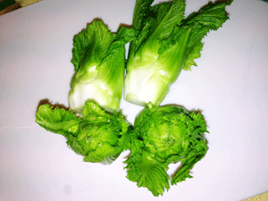 f0207074_21591186.gif