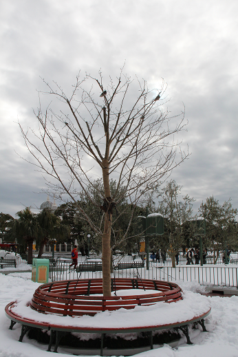 e0198877_11503868.png