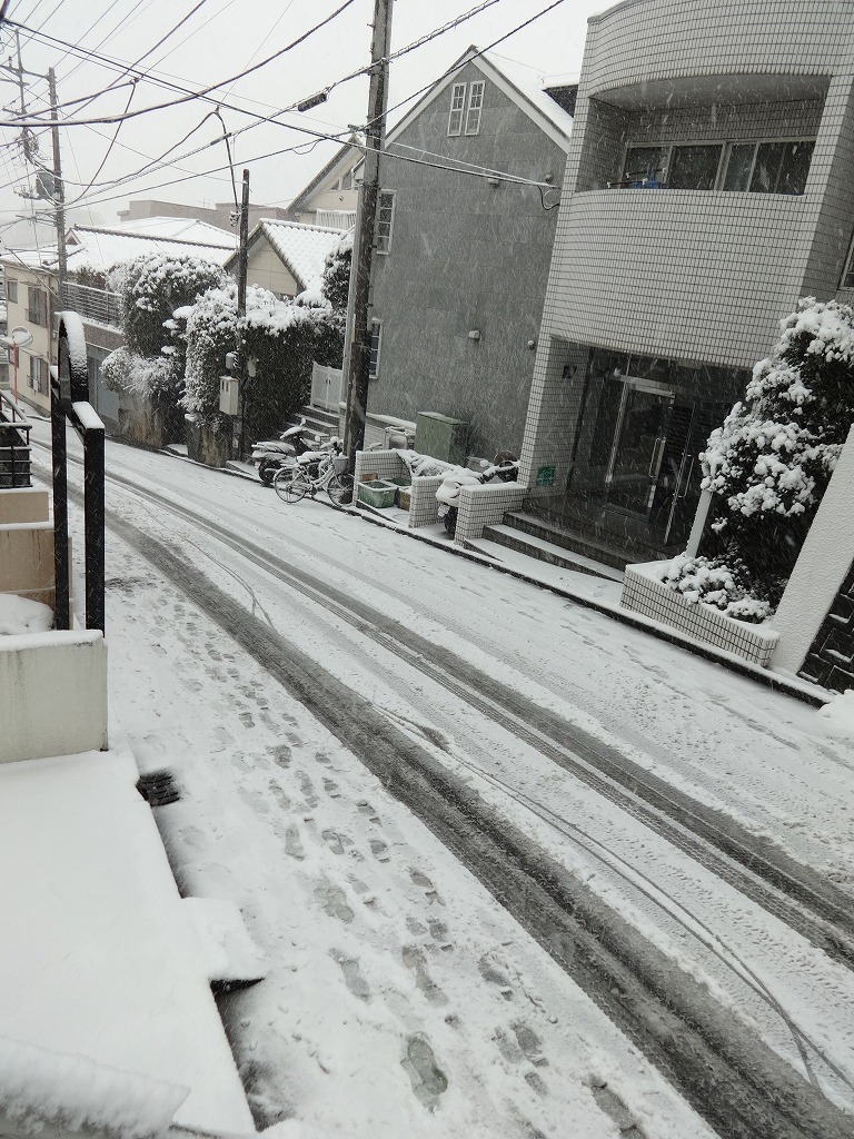 続：首都圏降雪、1.7メートル来るか！？_d0061678_1654563.jpg