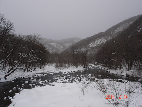 奥入瀬渓流　積雪１０００mm超かな_d0165378_8392267.jpg