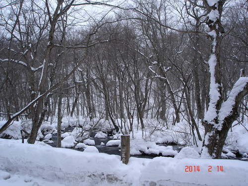 奥入瀬渓流　積雪１０００mm超かな_d0165378_841237.jpg