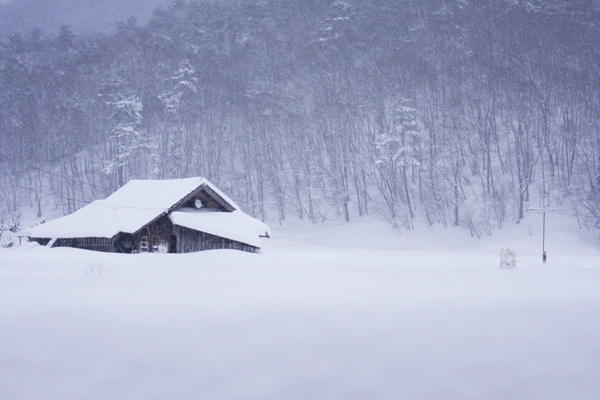 豪雪。_b0247880_8581439.jpg