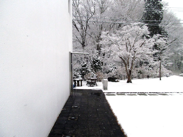 b0321680_19594329.jpg