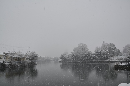 散歩道　副池公園雪景色 2014_c0229483_21463785.jpg