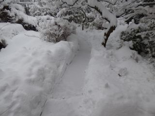 天窓どうしようかな~_b0098584_14253674.jpg