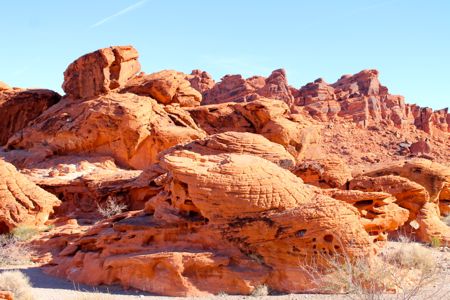 ＊Red Rock Canyon _f0245389_10332490.jpg