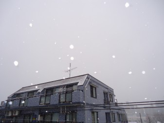 屋根屋に雪は敵ですが。。。_c0223192_18582040.jpg