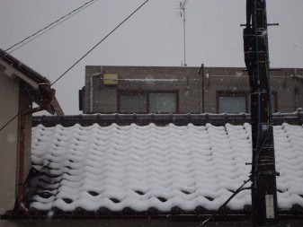 屋根屋に雪は敵ですが。。。_c0223192_18592093.jpg