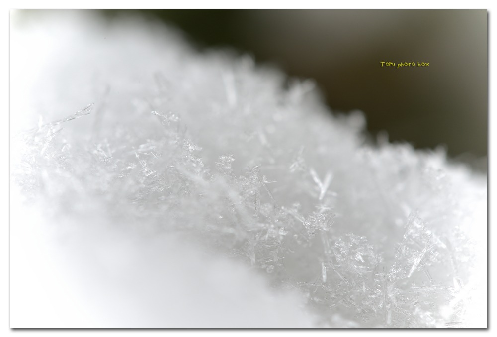 Snow crystal _a0157696_1839319.jpg