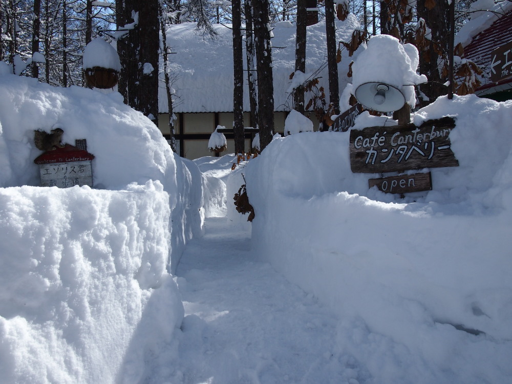昨日の大雪から‥一夜明けると雪の山_f0276498_22452741.jpg