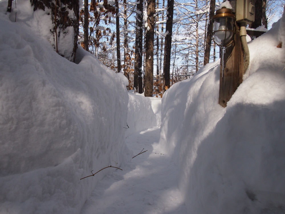 昨日の大雪から‥一夜明けると雪の山_f0276498_2246345.jpg