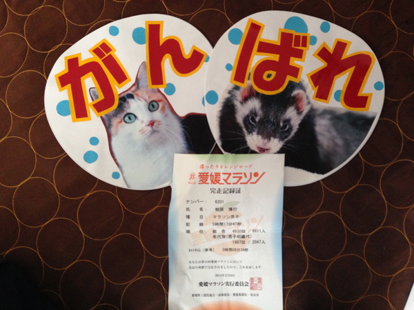 愛媛マラソン完走_d0178999_180593.jpg