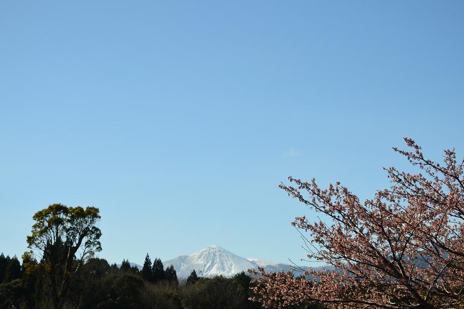 b0172502_17413569.jpg