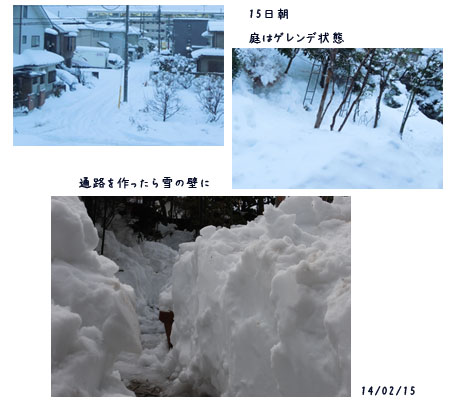 日々の事_c0051105_2139342.jpg