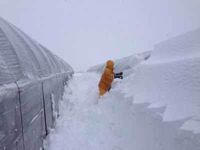 大雪_d0099708_20123586.jpg