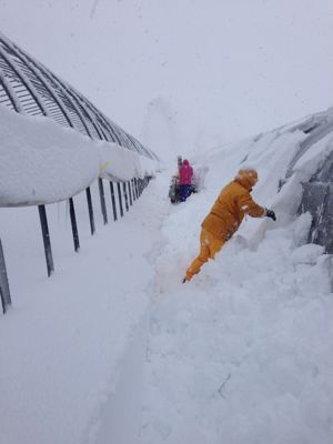 大雪_d0099708_20123587.jpg