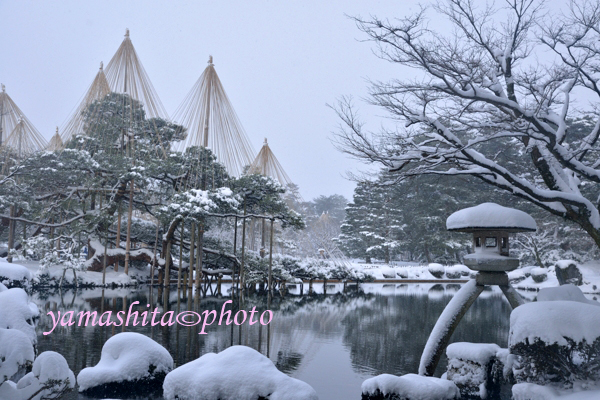 こんにちわ、２月初旬に訪れた兼六園。現像出来ＵＰしました。_a0158609_9505375.jpg