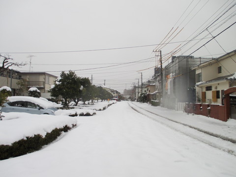 b0183111_12323446.jpg