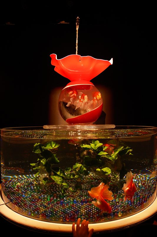 アートアクアリウム展 ~大阪・金魚の艶~ 其の二_f0032011_18572920.jpg