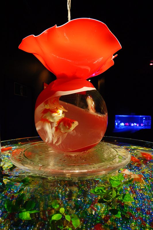 アートアクアリウム展 ~大阪・金魚の艶~ 其の二_f0032011_18582155.jpg