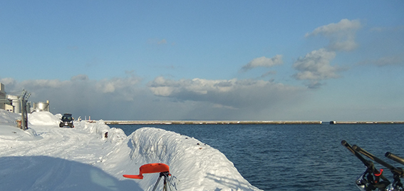 ２０１４.２.１４　小樽港厩町岸壁に魚の気配なし　１５：００～１８：００_a0155319_925913.jpg