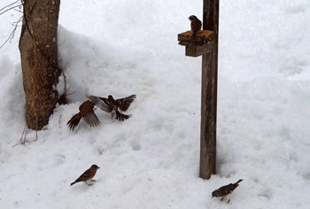 f0232920_14273137.gif