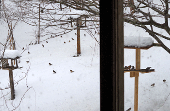 f0232920_14311724.gif