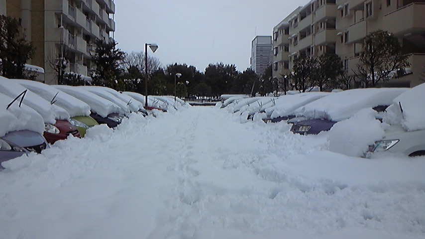 2014.2.14　大雪②_c0038722_21314283.jpg