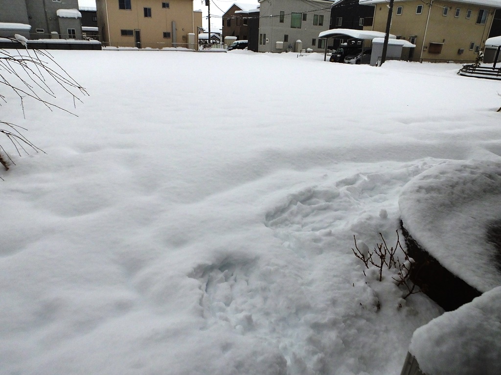 f0035222_20104126.jpg