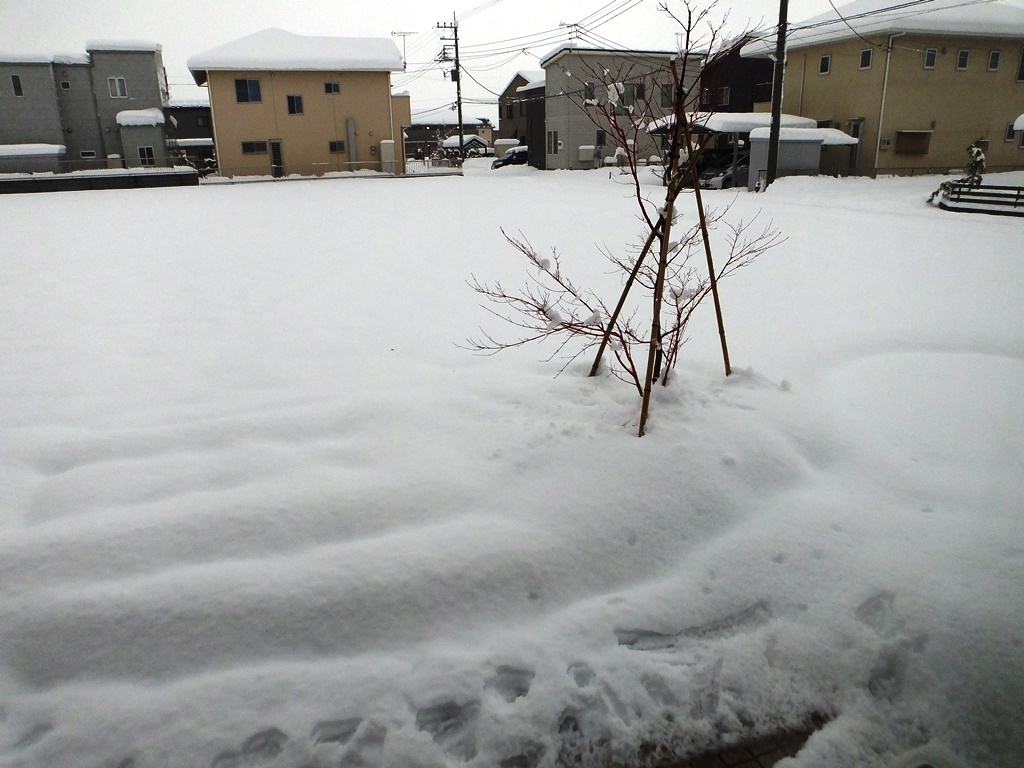 f0035222_20131648.jpg