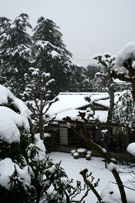 2014雪の奈良　2/14. 15._f0106724_15105362.jpg