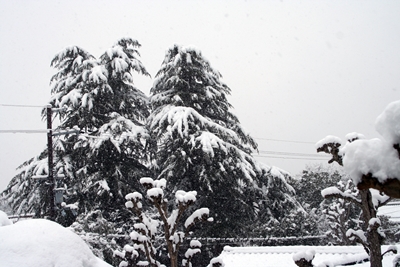 2014雪の奈良　2/14. 15._f0106724_1553444.jpg