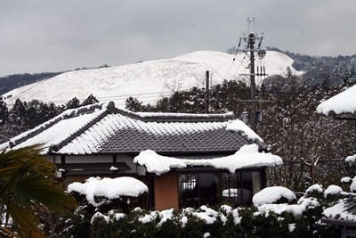 2014雪の奈良　2/14. 15._f0106724_15545098.jpg
