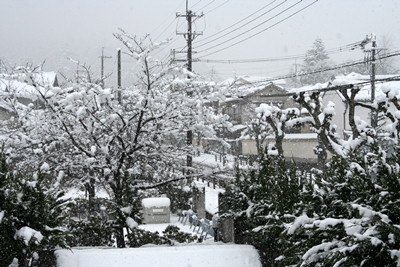 2014雪の奈良　2/14. 15._f0106724_156210.jpg