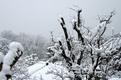 2014雪の奈良　2/14. 15._f0106724_1562924.jpg